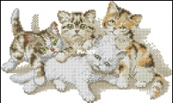 Pako 238.218 Little cats XSD