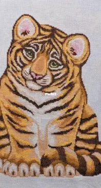 PANNA - Tiger cub.