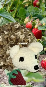 Hedgehog Pillow Buddy and his Strawberry!