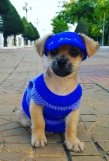 Yarn Blue Dress For My Puppy