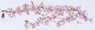 Thea Gouvereur -  Japanese Cherry Blossom