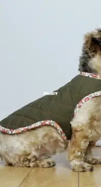 Dog Coat Pattern by Pattern Scout