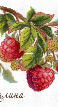M.P. Studio - NV-816 - Raspberries