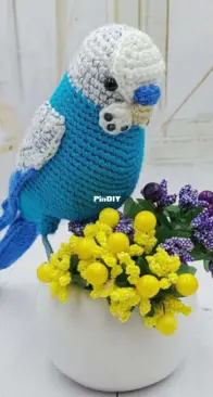 Sveta Crochet - Svetlana Kononenko/Svitlana Kononenko -  Budgerigar