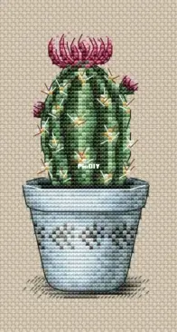 Sofico Stitch - Cactus by Sophia Komkova