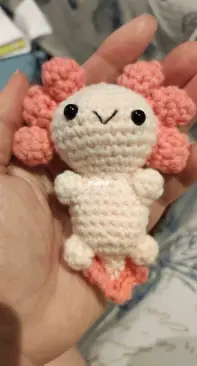 I started crocheting about two months ago and learnt from Youtube...