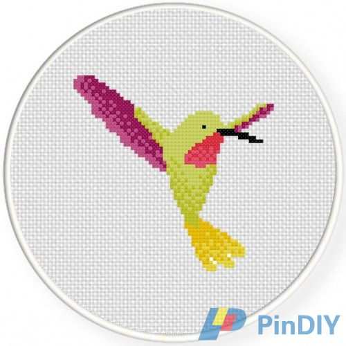 Pretty Hummingbird.jpg