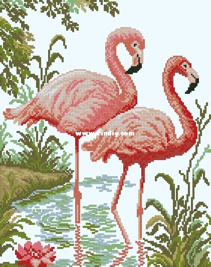 RTO M106 OK Flamingos XXX.JPG
