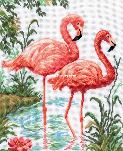 RTO M106 OK Flamingos.jpg