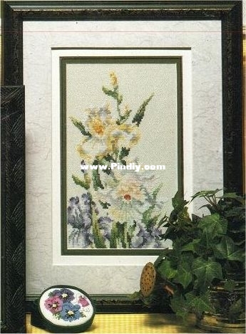 4 Iris Varieties (1).jpg