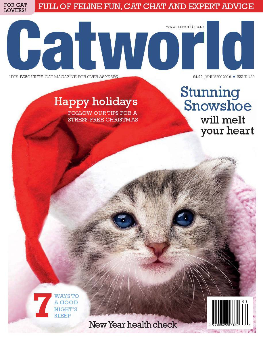 CatWorld-January2019.jpg