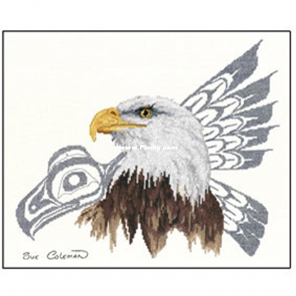 Native Eagle by Sue Coleman.jpg