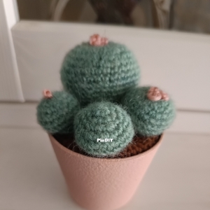 Please enter the album name