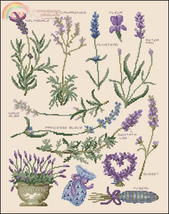 D M C - Lavender Sampler 2.jpg