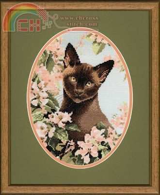 JSBC304 Burmese Cat.jpg