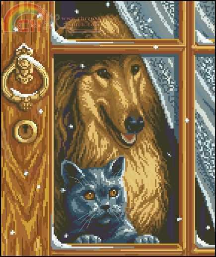 Dog and Cat.jpg