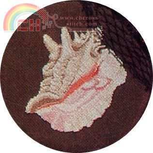 Sealife Queen Conch.jpg