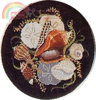 Shell Collage.jpg