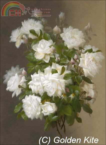 2105 White Roses.jpg