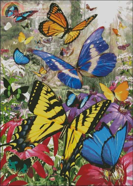 David Penfound Artworks HAEDAP-105 Tropical Butterfly.jpg