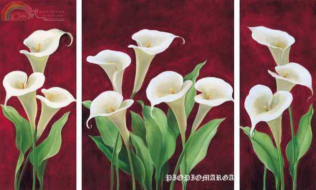 Triptico de calas.jpg