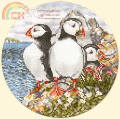 AMPP487 Puffin Patrol.jpg