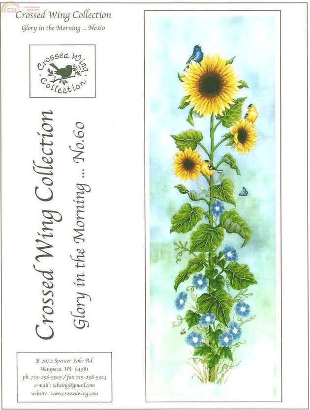 Glory In The Morning - Crossed Wing Collection.jpg