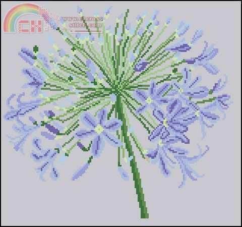 Acufactum Blütenball.jpg