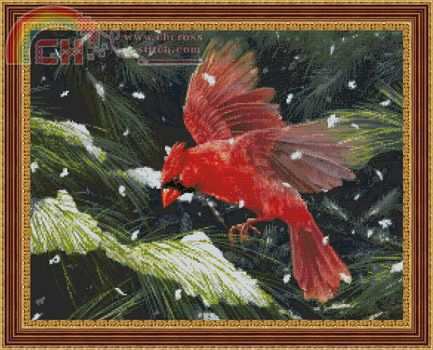 KK 98207 Finding Refuge Red Cardinal.jpg