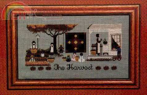 TG 004 harvest amish.jpg