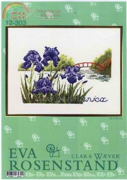ER 12-303-Iris germanica.JPG