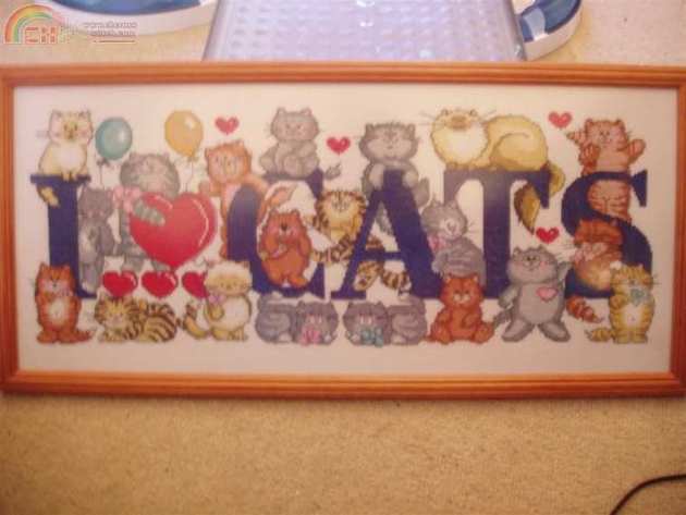 i love cats (Medium).JPG