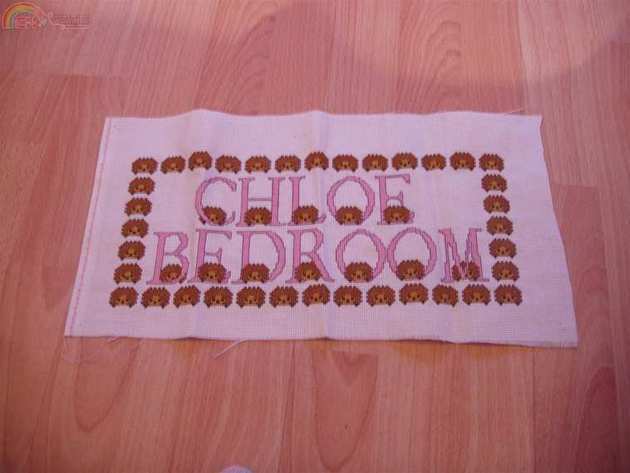 i draw it myself and put into cross stitch (Large).JPG