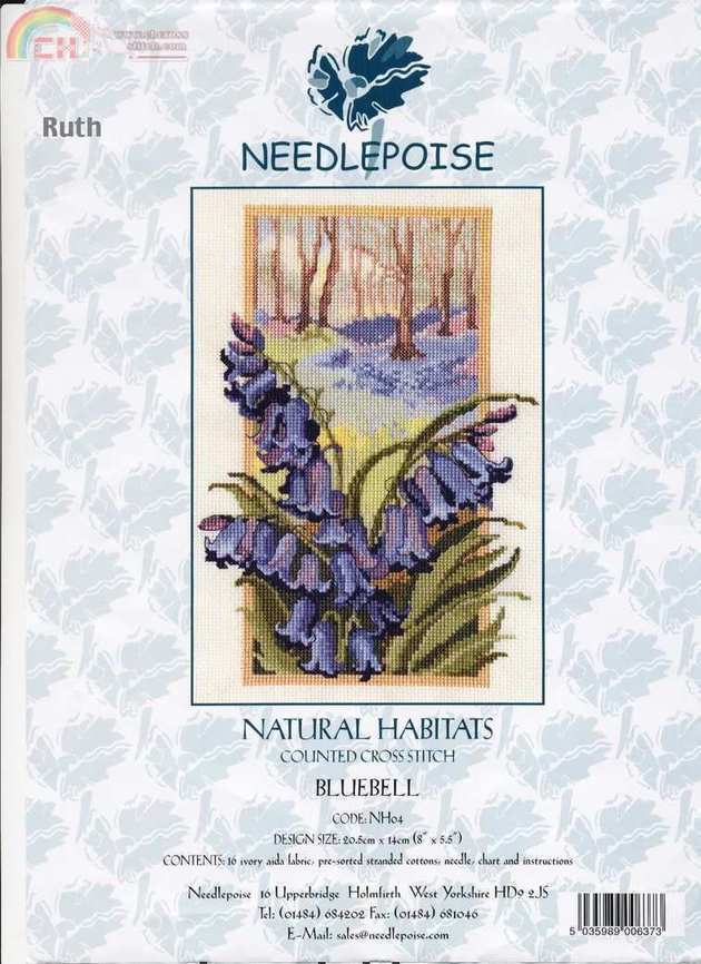 NatureBluebell1.jpg