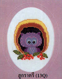 13-Q Owl