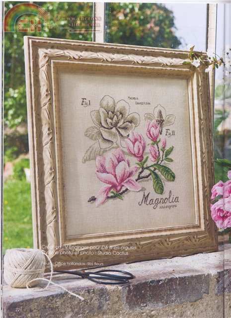 DFEA-HS27 Etude Magnolia (2).jpg