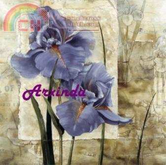 IRIS AZUL.jpg