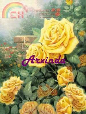 ROSAS AMARILLAS.jpg