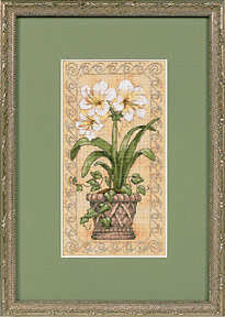 Amaryllis.jpg