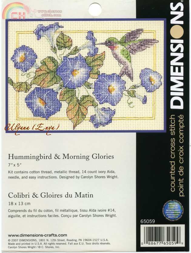 65059 - Hummingbird & Morning Glories.jpg