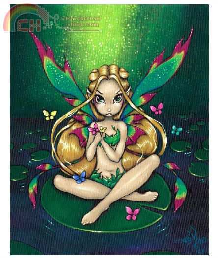 Waterlilly.jpg