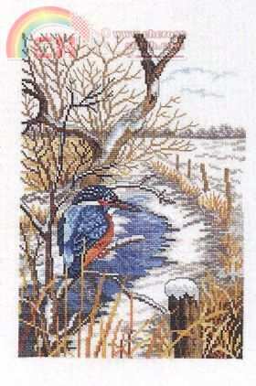 winter kingfisher.jpg