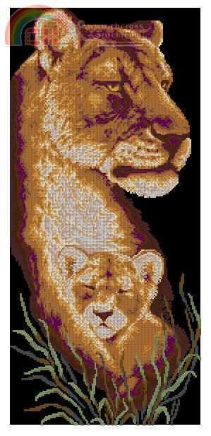 Lion and Cub.jpg