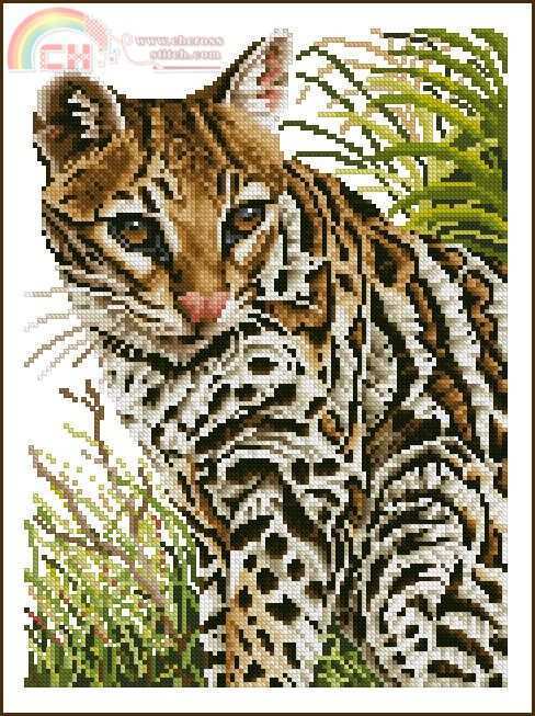 JNM_Jungle_Ocelot.jpg