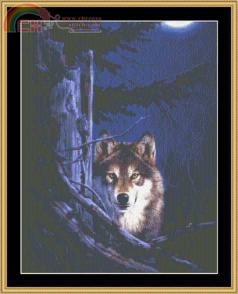 JON-01_Moon_Shine.jpg