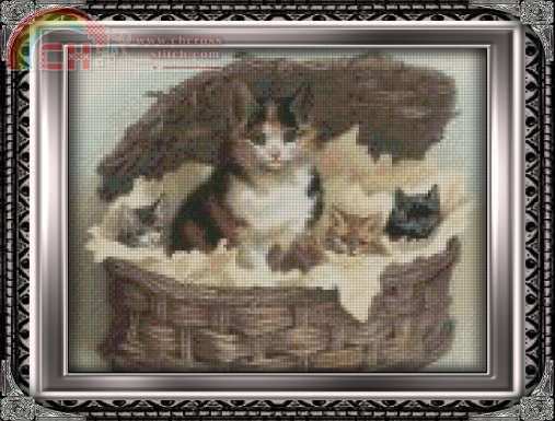 Mother-and-kittens.jpg