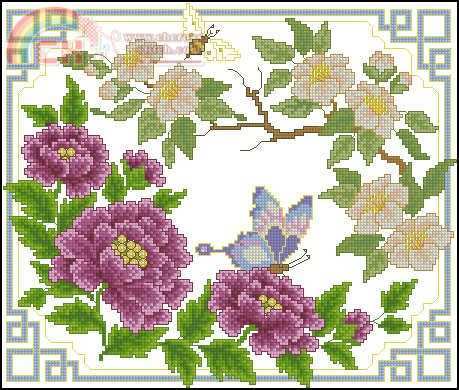 CS Butterflies on Flowers.jpg