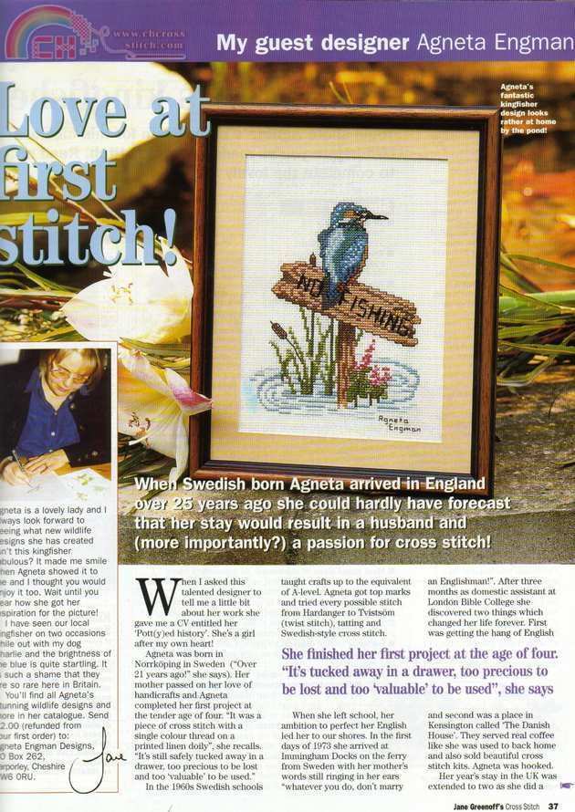 Kingfisher pic.jpg