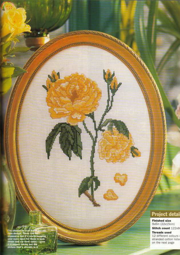Yellow Roses pic.jpg
