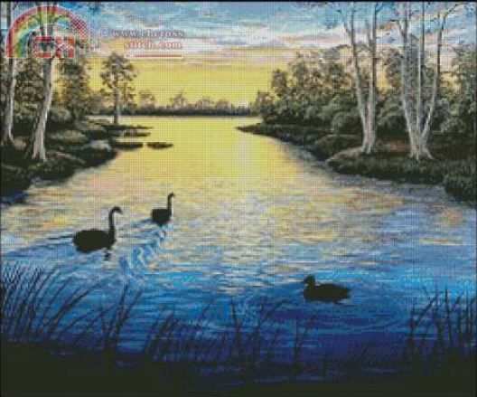 Ducks in Sunset.JPG